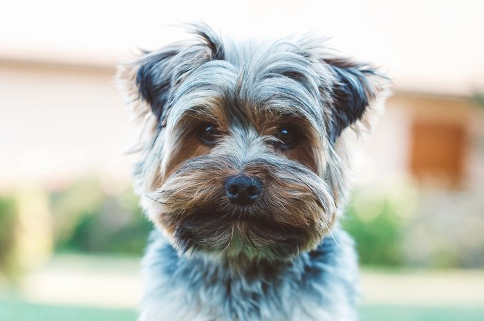 Brighten Your Sight AF 50mm F1.4 FE